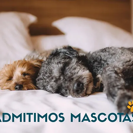 Lägenhet Centro 3000 Alcossebre